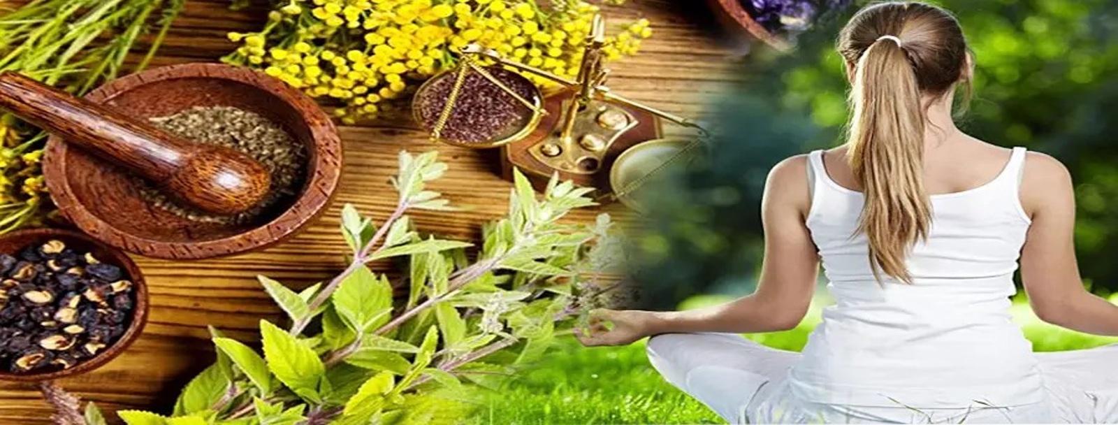 Banner-10